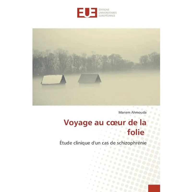 Voyage Au Cœur De La Folie