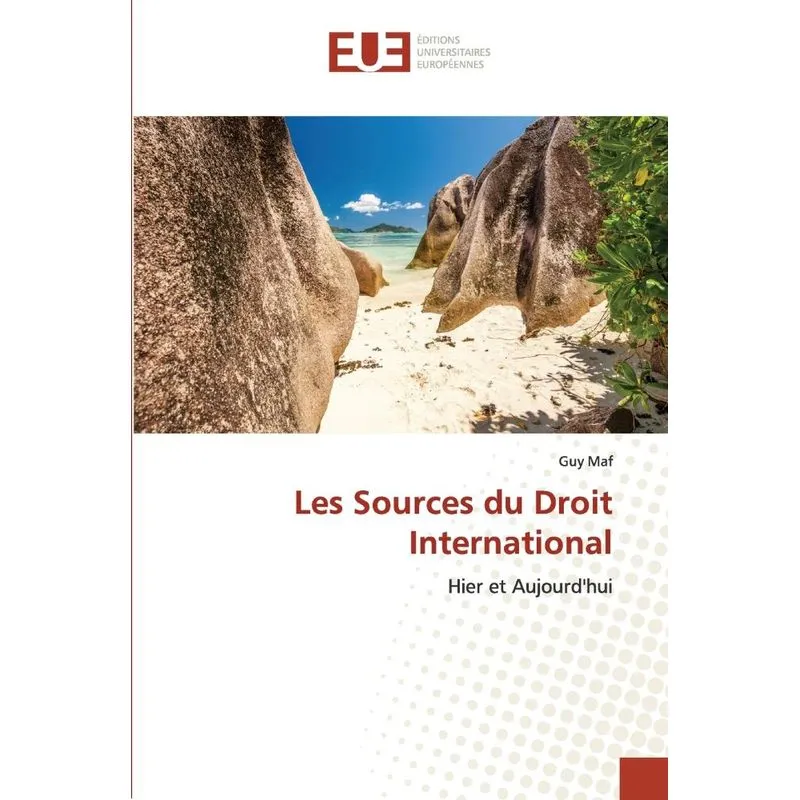 Les Sources Du Droit International