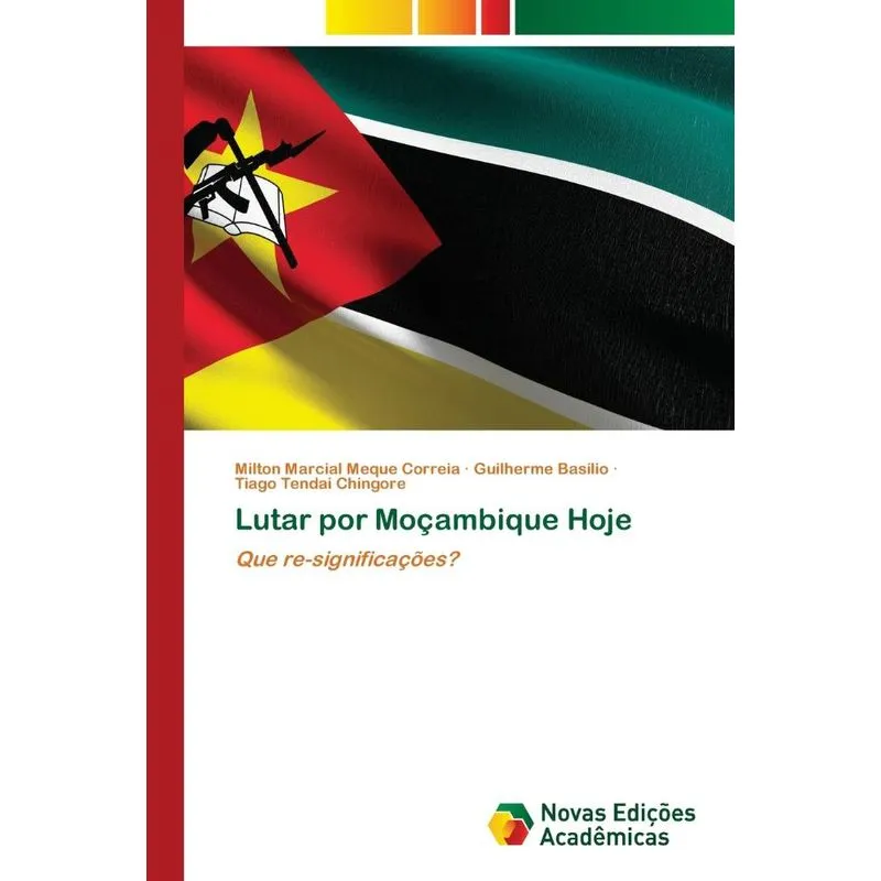 Lutar por Moçambique Hoje