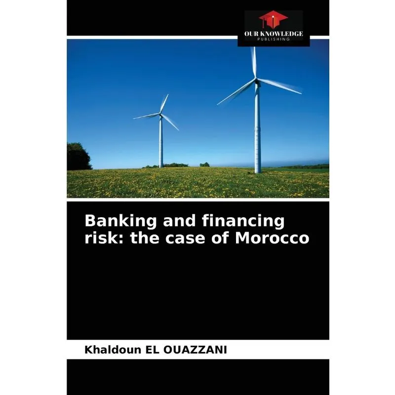 Banking and financing risk