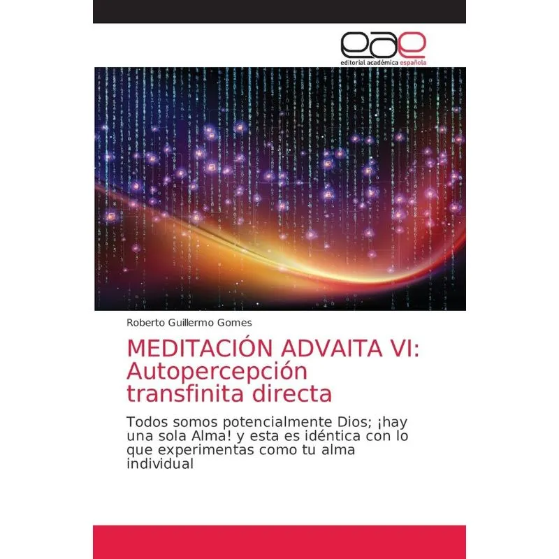 MEDITACIÓN ADVAITA VI