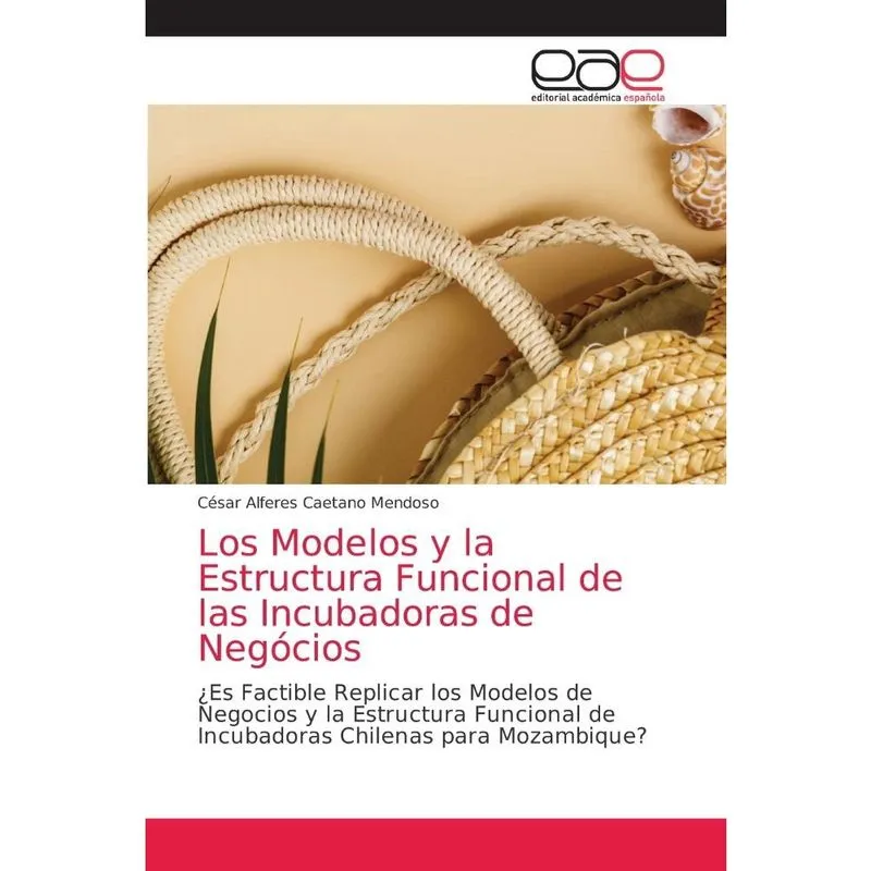 Los Modelos y la Estructura Funcional de las Incubadoras de