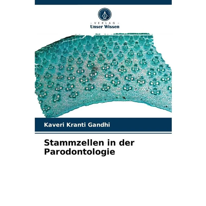 Stammzellen In Der Parodontologie