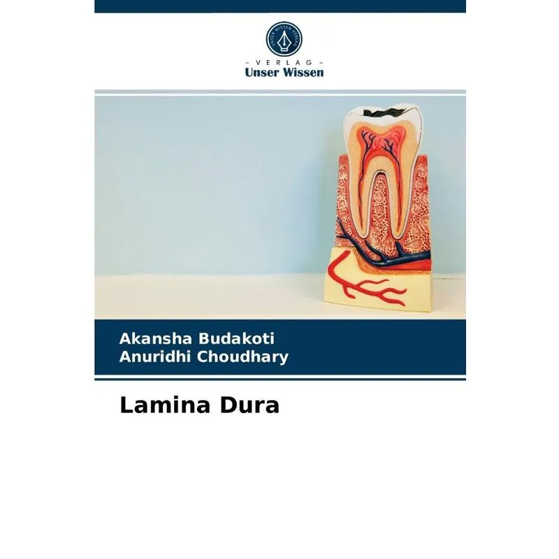 Lamina Dura