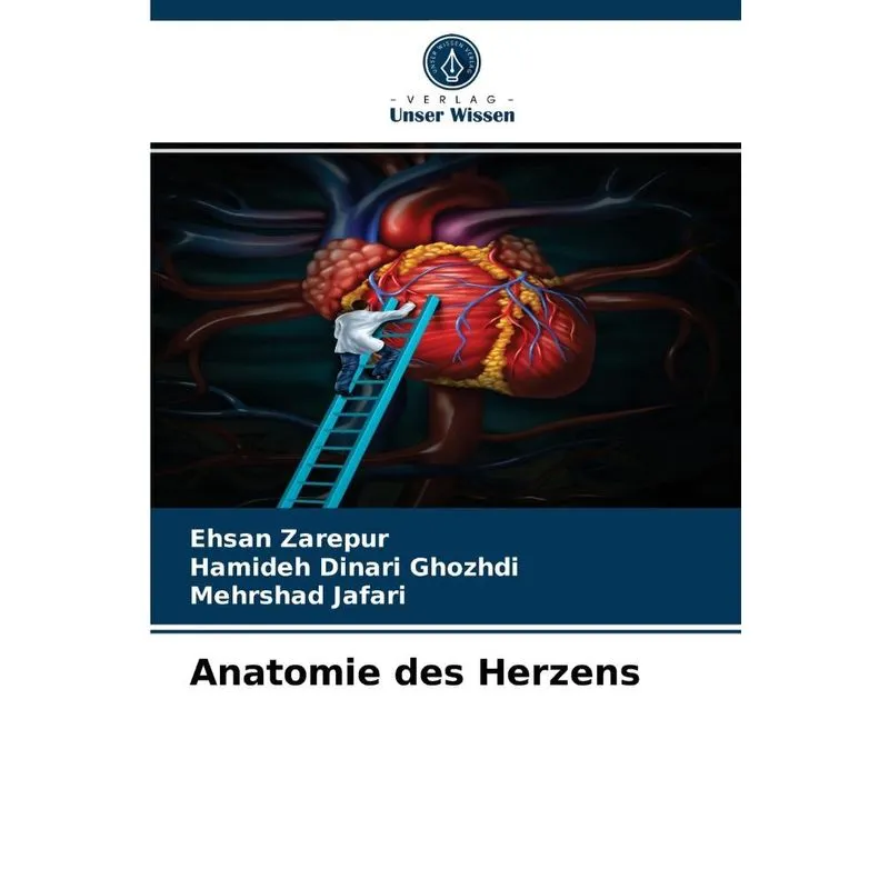 Anatomie des Herzens