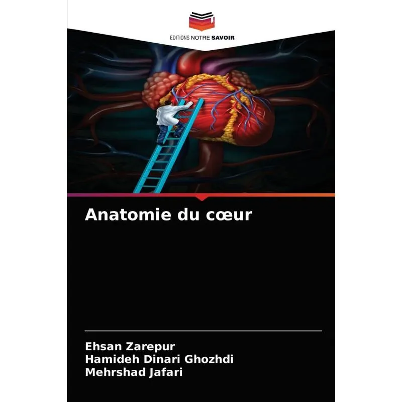 Anatomie Du Cœur