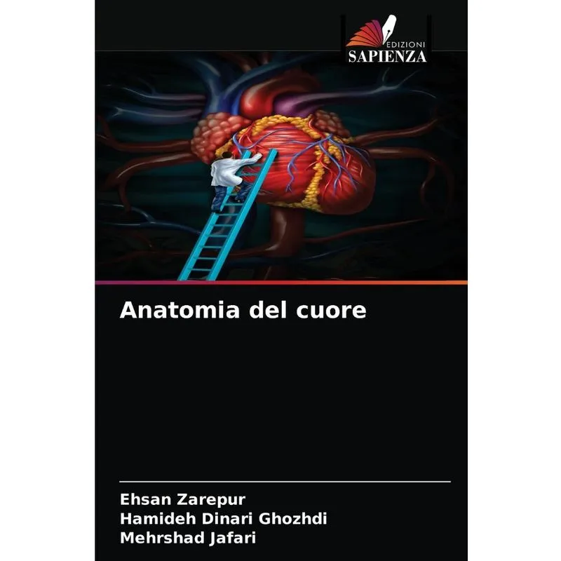 Anatomia del cuore