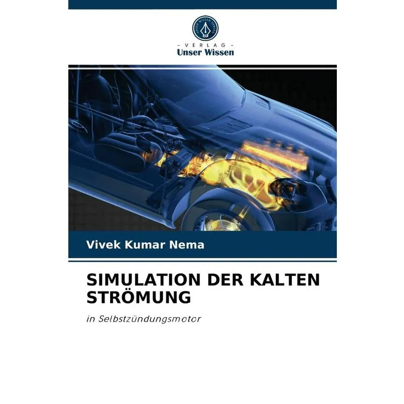 Simulation Der Kalten Strömung