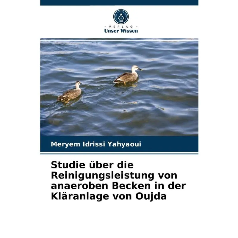 Studie Über Die Reinigungsleistung Von Anaeroben Becken In