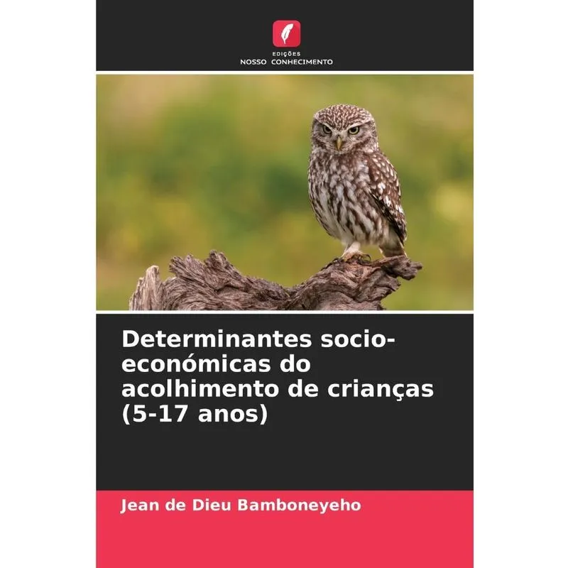 Determinantes Socio-económicas Do Acolhimento De Crianças (