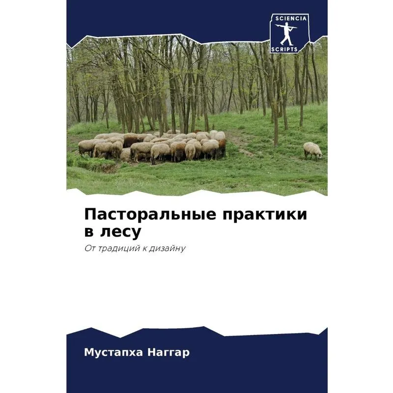 Пасторальные Практики В Лесу