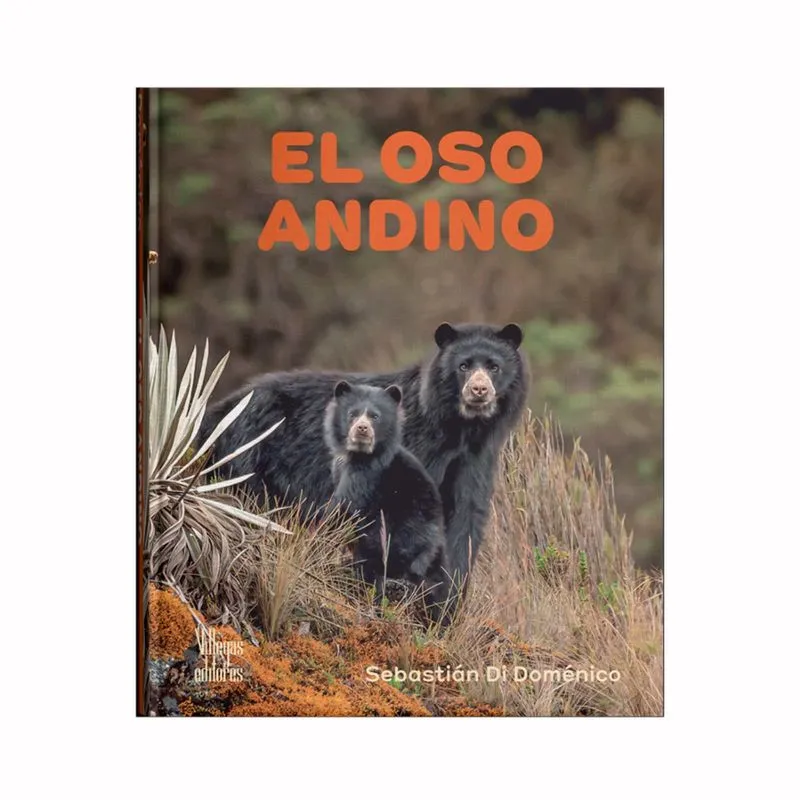 El oso andino