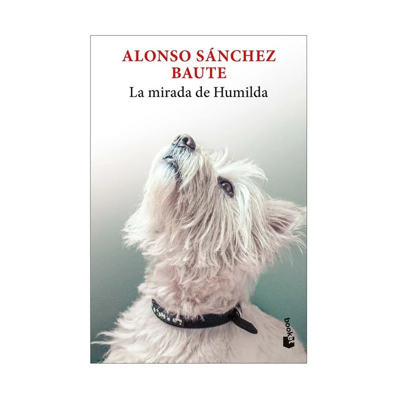 La mirada de humilda
