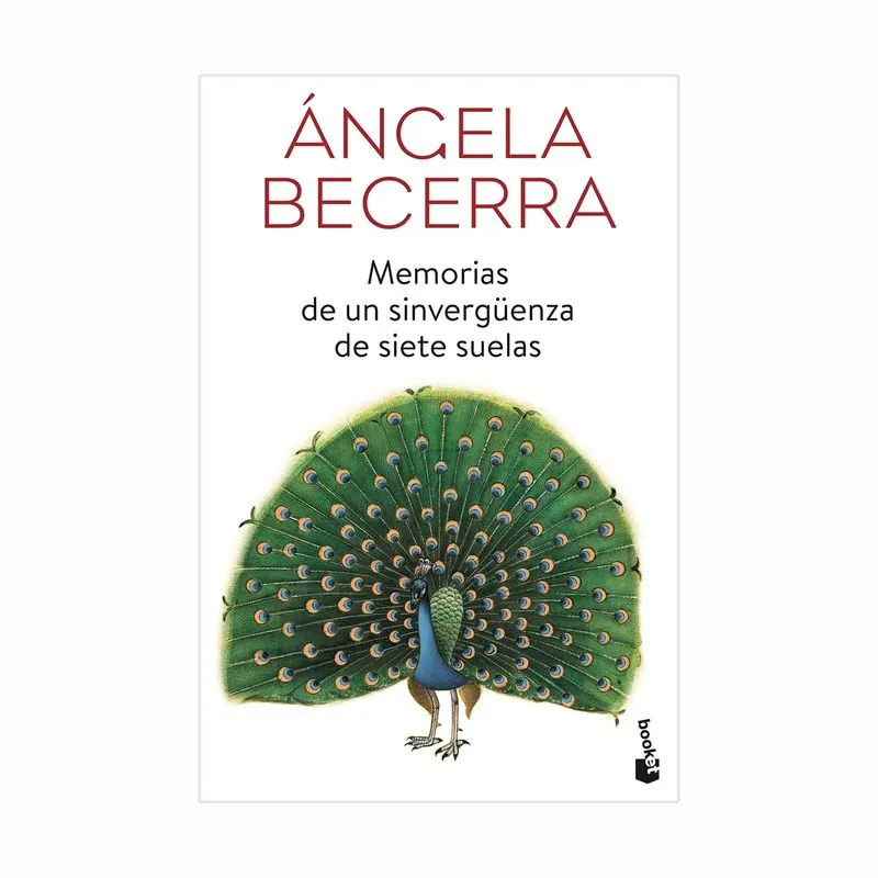 Memorias de un sinvergüenza de siete suelas