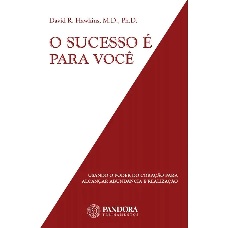 Livro O Sucesso É Para Você