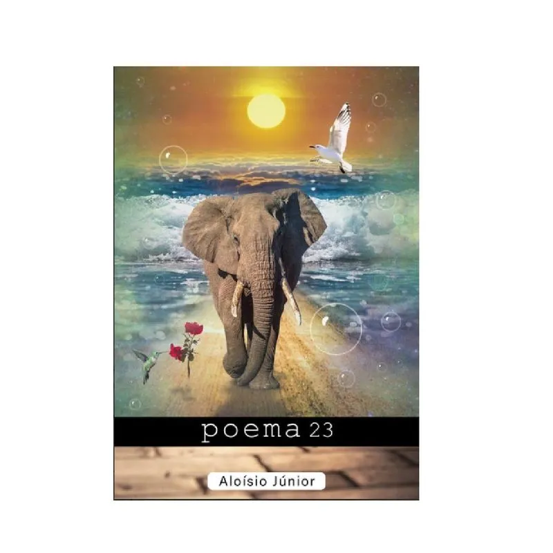 Poema 23
