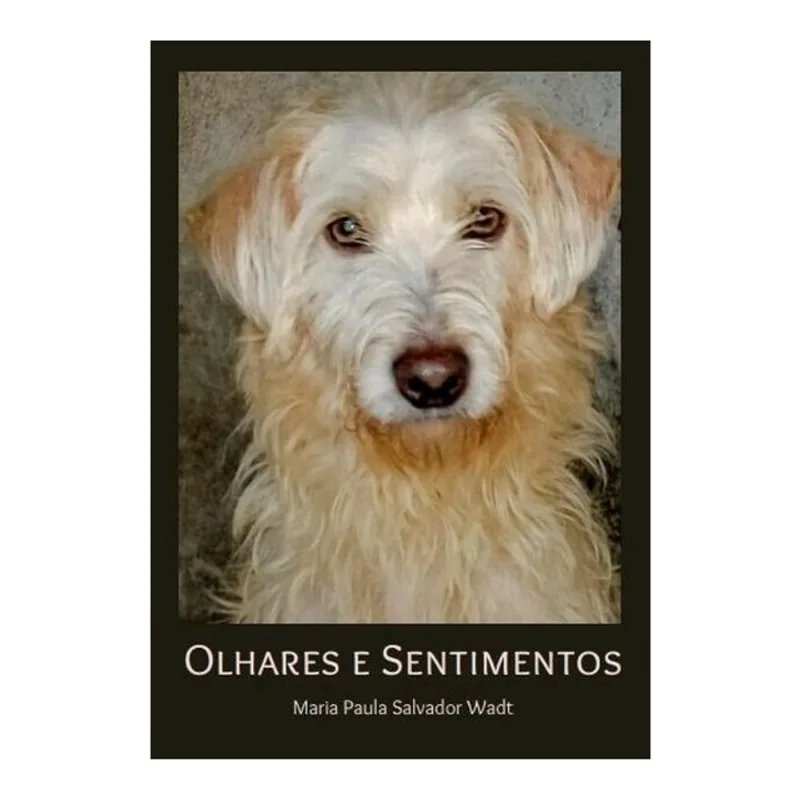 OLHARES E SENTIMENTOS