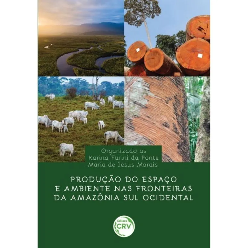 Livro - Produção do espaço e ambiente nas fronteiras da Amazônia sul ocidental