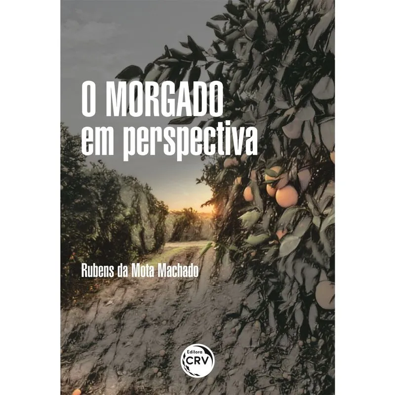 Livro - O Morgado em perspectiva: a política administrativa em torno das terras do antigo do Morgado de Marapicú (1772 – 1940)