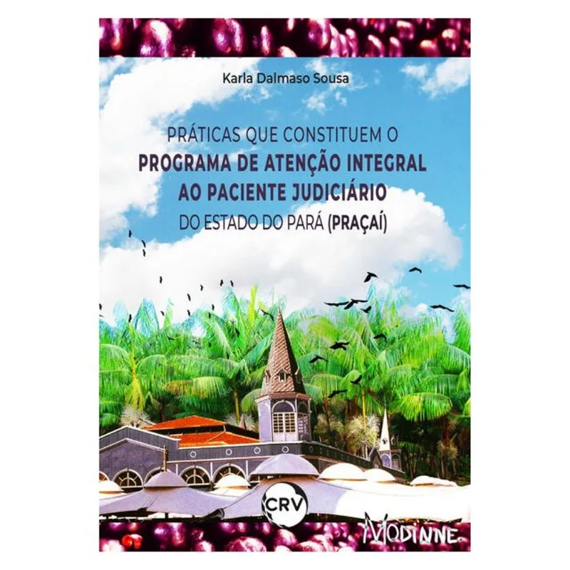 PRÁTICAS QUE CONSTITUEM O PROGRAMA DE ATENÇÃO INTEGRAL AO PACIENTE JUDICIÁRIO DO ESTADO DO PARÁ (PRA