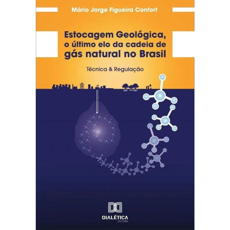 Estocagem Geológica, O Último Elo Da Cadeia De Gás Natural No Brasil - Português