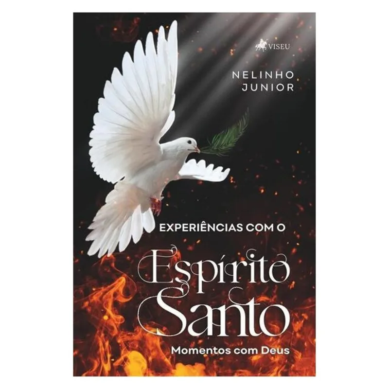 EXPERIÊNCIAS COM O ESPÍRITO SANTO
