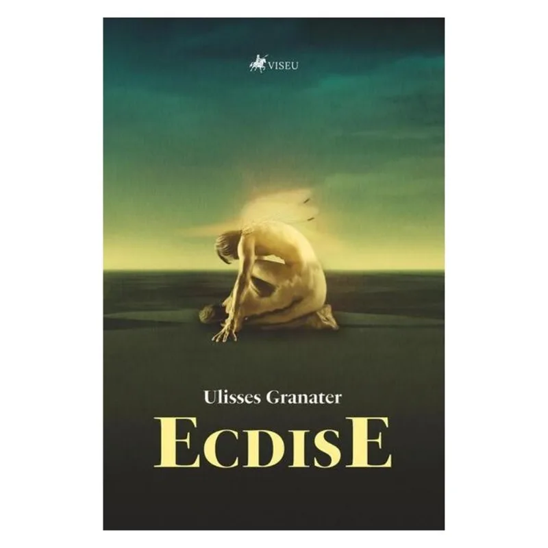 ECDISE