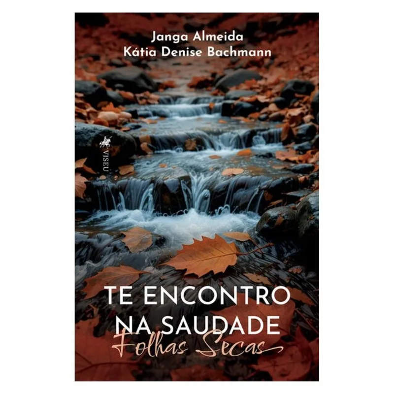 TE ENCONTRO NA SAUDADE
