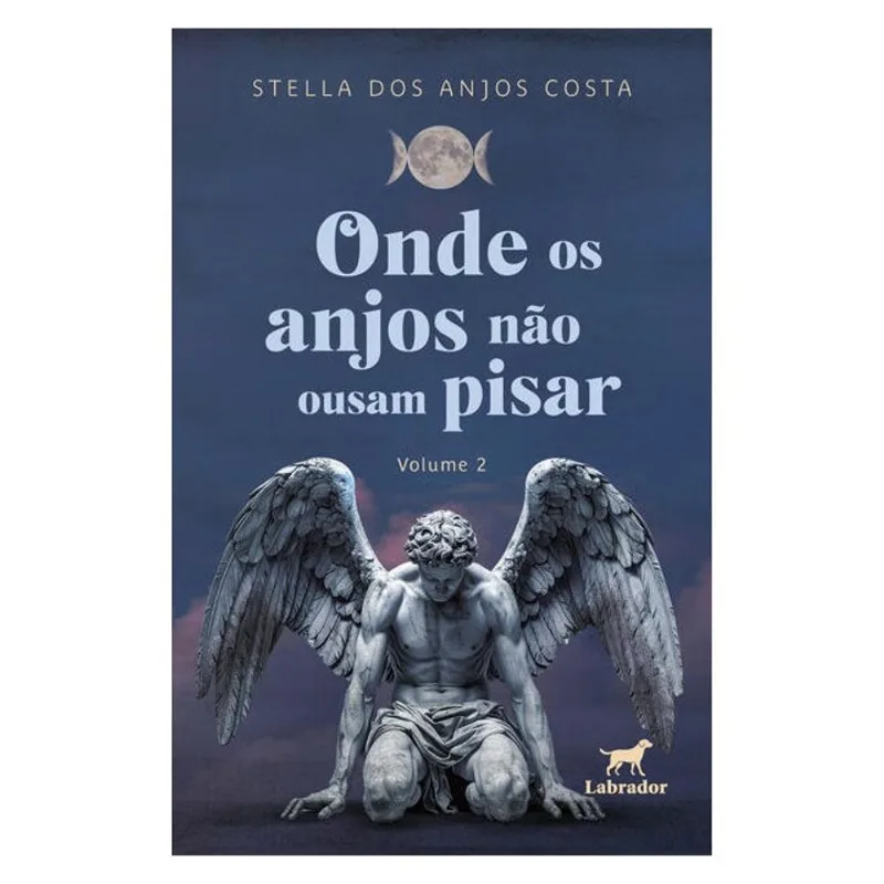 ONDE OS ANJOS NÃO OUSAM PISAR (VOLUME 2)