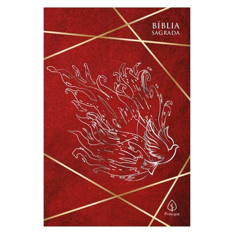 BÍBLIA SAGRADA - ACF - CHEIOS DO ESPÍRITO SANTO