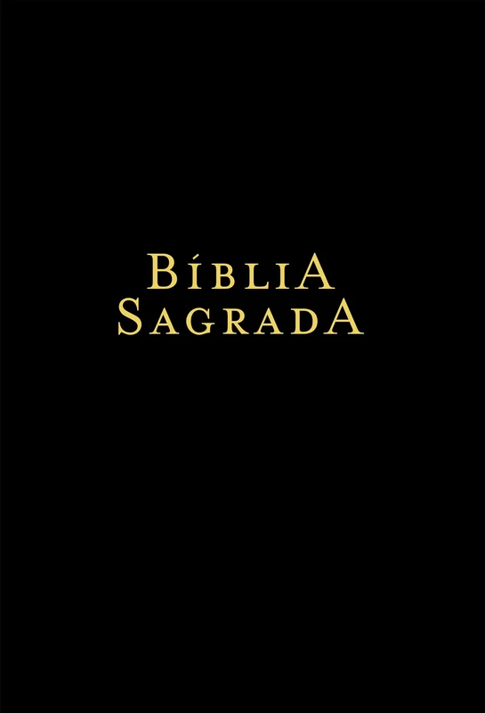 Bíblia NVI, Letra Sênior, Capa luxo preta, Leitura Perfeita E-book