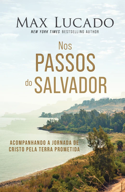 Nos passos do Salvador E-book