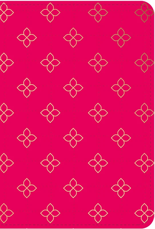 Bíblia Pocket NVI, Capa luxo carteira rosa com corrente, Leitura Perfeita E-book