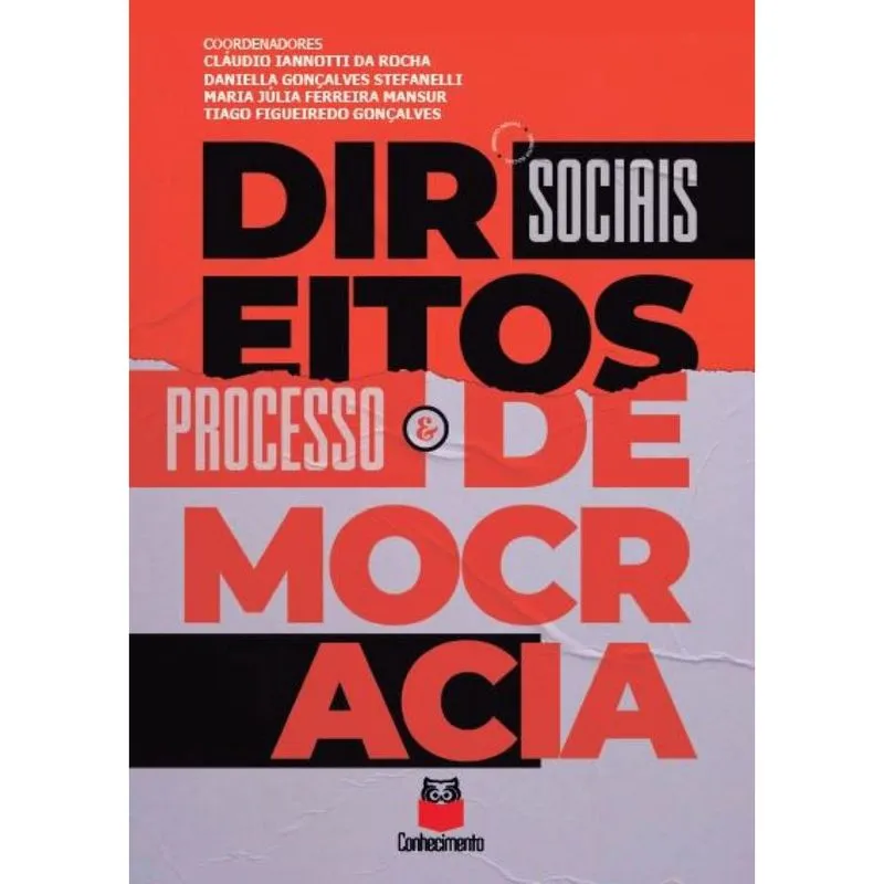 Direitos Sociais Processo e Democracia