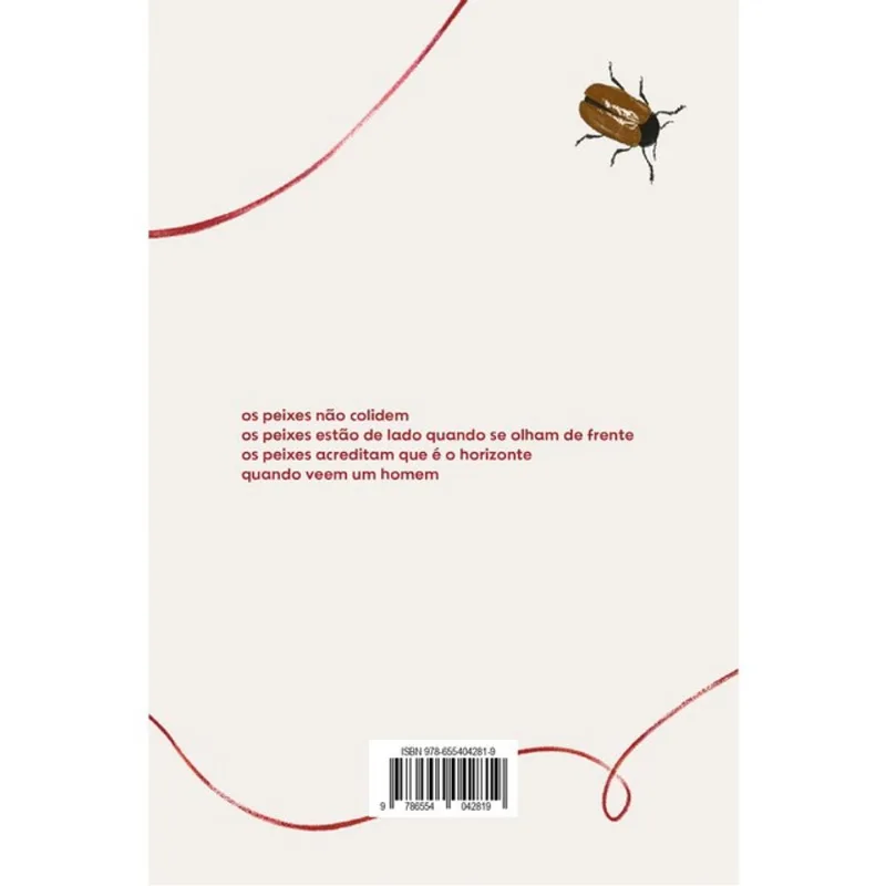 NEVOEIRO-CLARABOIA