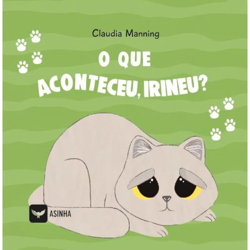 O que aconteceu, Irineu?