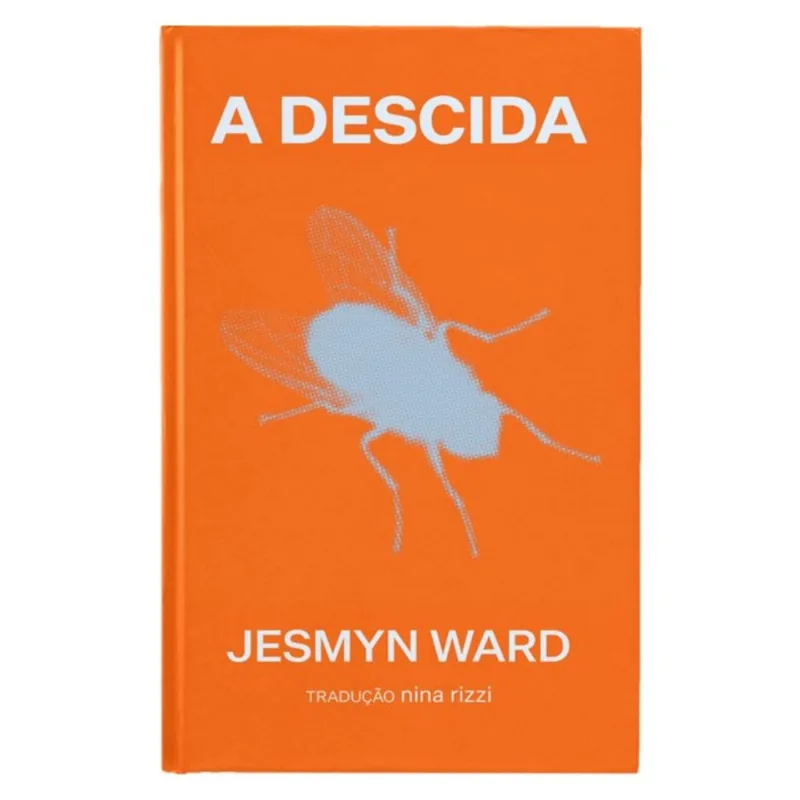A DESCIDA