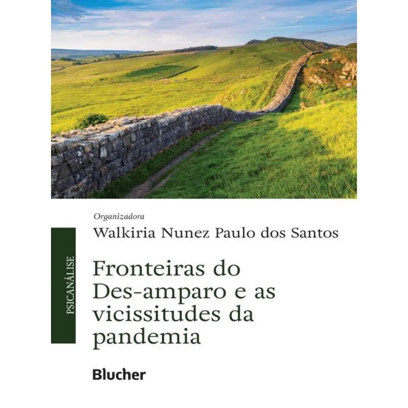 FRONTEIRAS DO DES-AMPARO E AS VICISSITUDES DA PANDEMIA