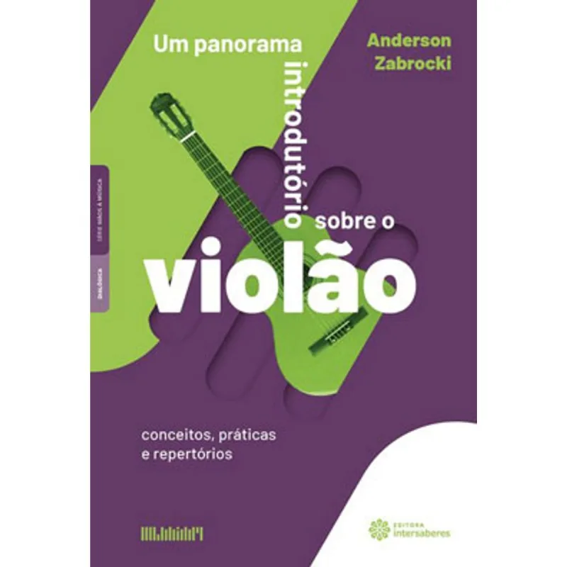 UM PANORAMA INTRODUTÓRIO SOBRE O VIOLÃO: