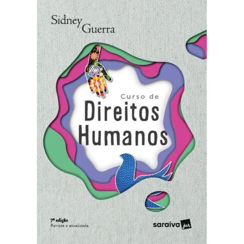 Curso De Direitos Humanos