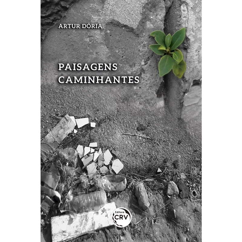 Livro - Paisagens caminhantes