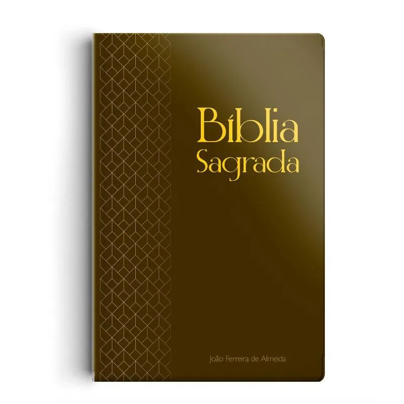 BIBLIA RC GIGANTE CAPA SEMI LUXO MARROM