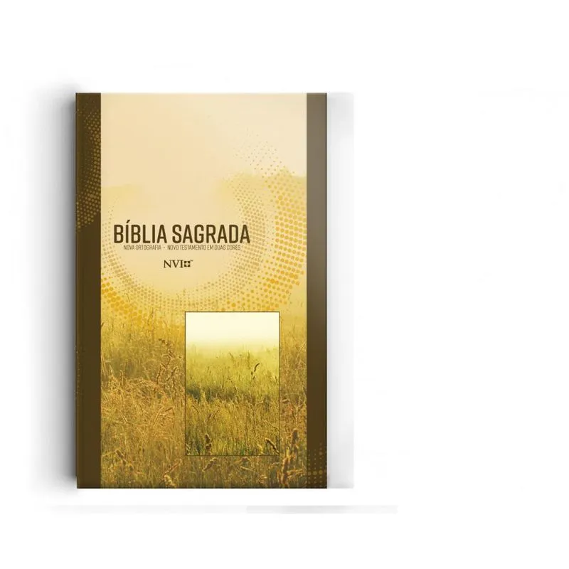 BIBLIA NVI GRANDE NOVO TESTAMENTO 2 CORES CAPA BROCHURA NEUTRA