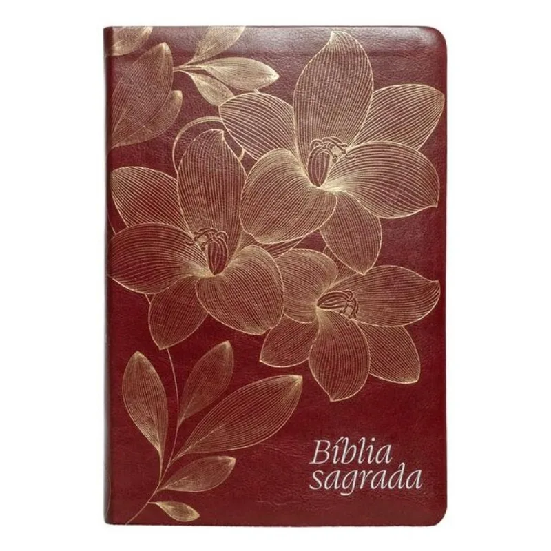 BÍBLIA NVI, LETRA GIGANTE, FONTE LEITURA PERFEITA, CAPA LUXO VINHO