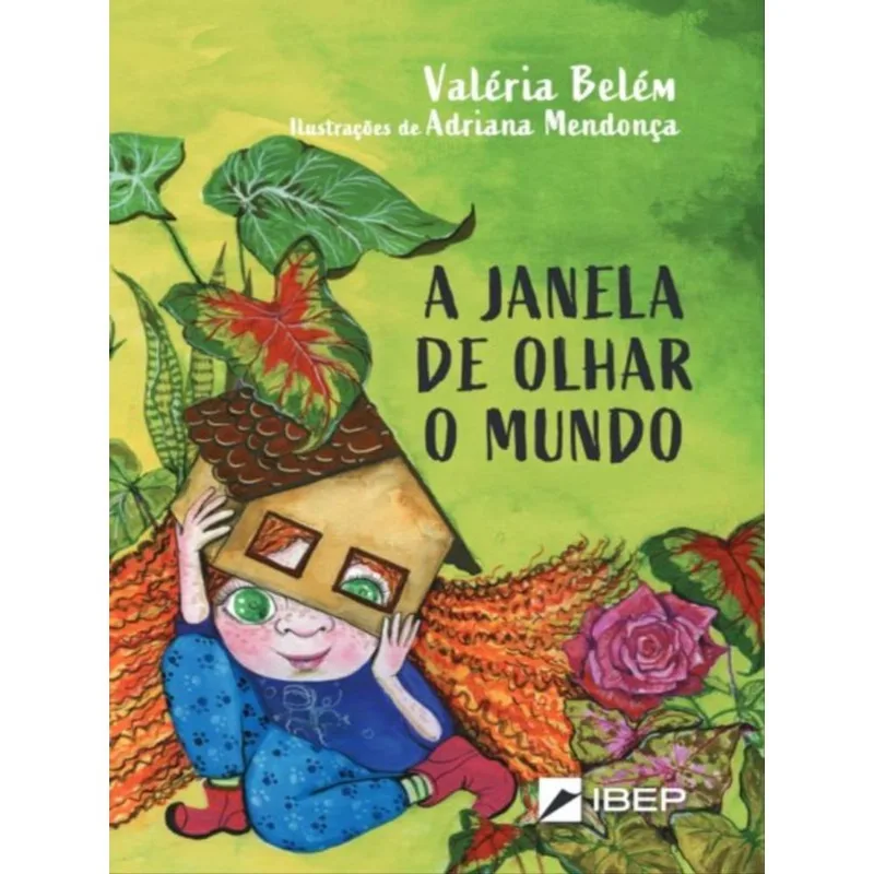 A JANELA DE OLHAR O MUNDO