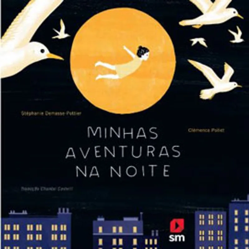 MINHAS AVENTURAS NA NOITE