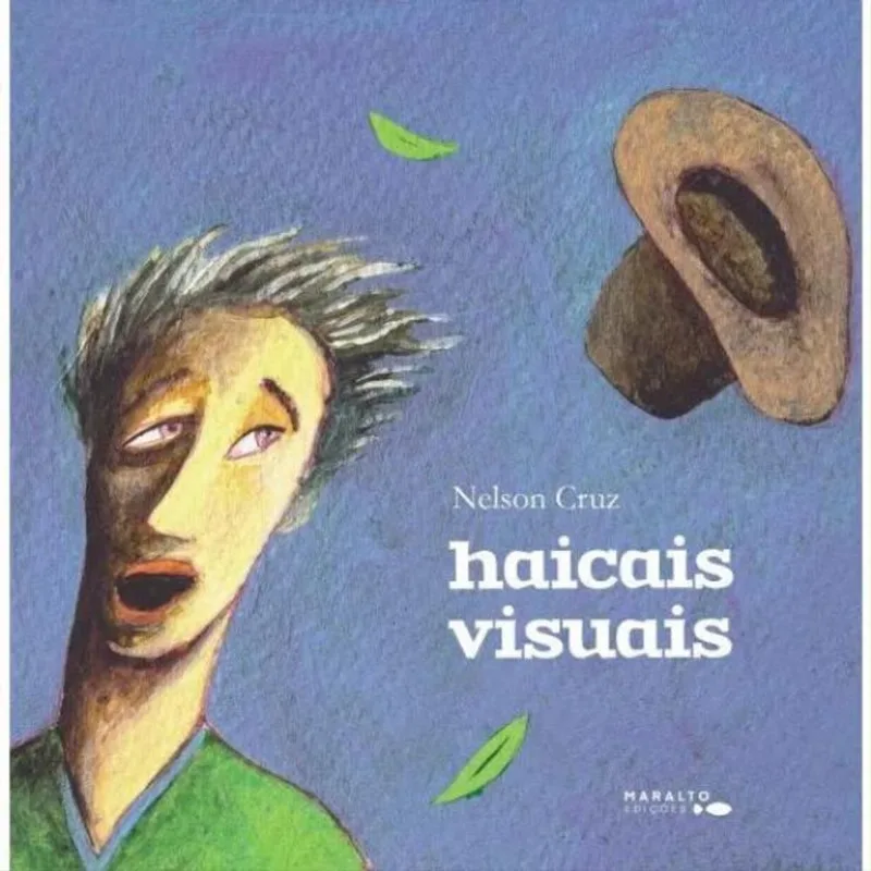 HAICAIS VISUAIS