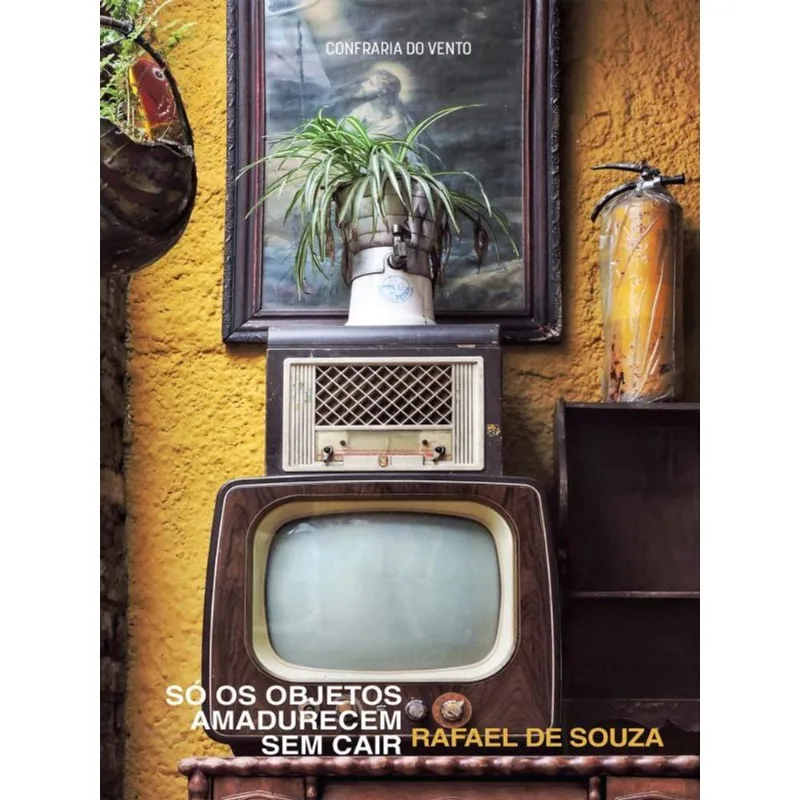 SÓ OS OBJETOS AMADURECEM SEM CAIR