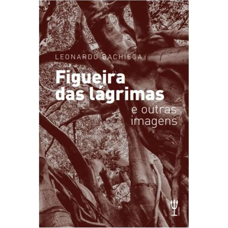 Figueira das lágrimas e outras imagens