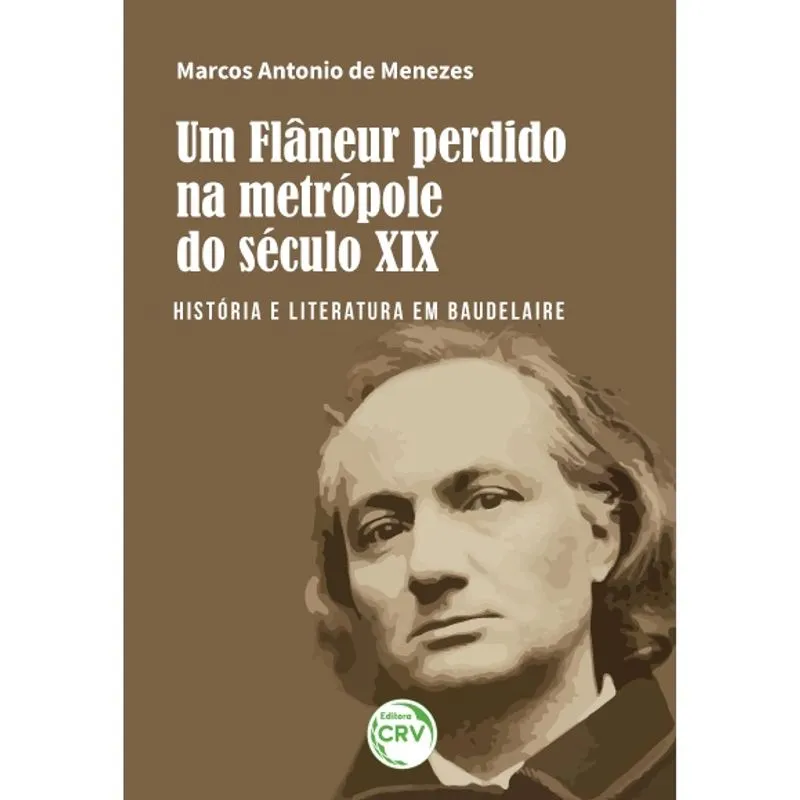 Livro - Um flâneur perdido na metrópole do século xix:: história e literatura em baudelaire